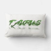 タウロス反射 ランバークッション (正面)