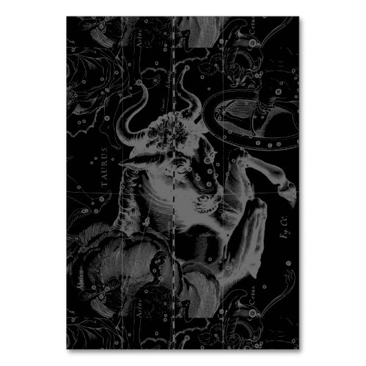 タウロス星座ヘベリアス1690デコール テーブルナンバー (正面)