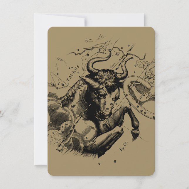 タウロス星座ヘベリアス1690版木、銅版、版画 (正面)