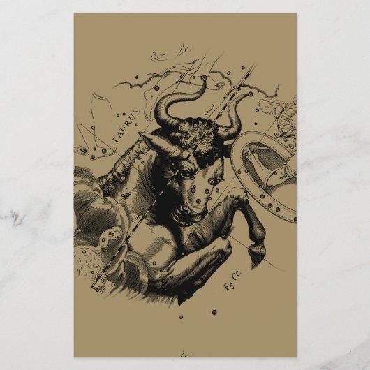 タウロス星座ヘベリアス1690版木、銅版、版画 チラシ (正面)