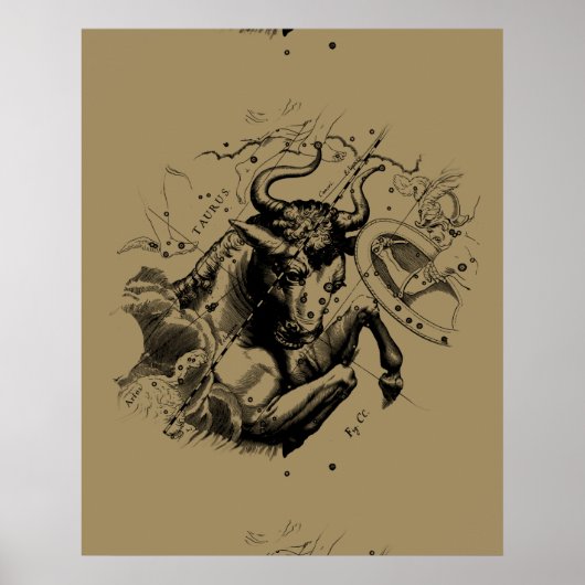 タウロス星座ヘベリアス1690版木、銅版、版画 ポスター (正面)