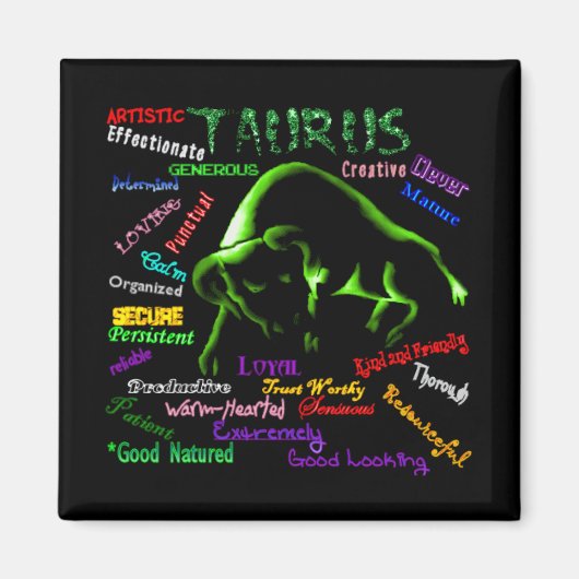 タウロス磁石 マグネット (正面)