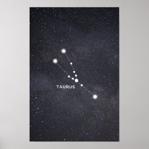 タウロス〔占星術の〕十二宮図星座ポスター ポスター