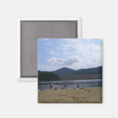 タウンシェンドダム、VT マグネット (正面/裏面)