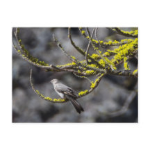 タウンセンドソリティア