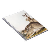 タウンゼンツロッキーマウンテンヘアデコルーム ノートブック (右側)