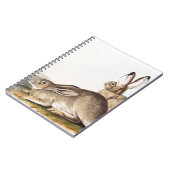 タウンゼンツロッキーマウンテンヘアデコルーム ノートブック (左側)