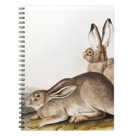 タウンゼンツロッキーマウンテンヘアデコルーム ノートブック (正面)