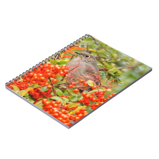 タウンゼントのソリティアの上のピラカンタ ノートブック (左側)