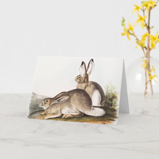 タウンゼントのロッキーマウンテン・ヘア(レポス・タウンセンディ) カード (黄色い花)