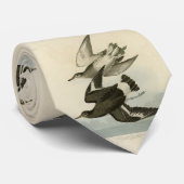 タウンゼント・サンドパイパー – Audubon's Birds of America ネクタイ (ロール)