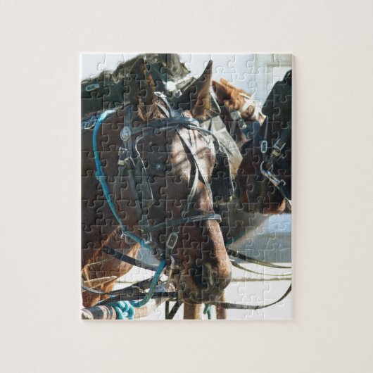 タウンホールミーティングアミッシュ乳母車ウマ ジグソーパズル (縦)