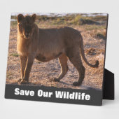 タウ救の野生生物 フォトプラーク (側面)