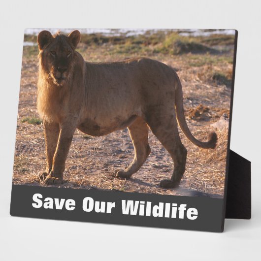 タウ救の野生生物 フォトプラーク (側面)