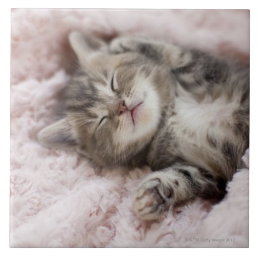 タオルで眠っている子ネコ タイル (正面)