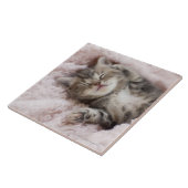 タオルで眠っている子ネコ タイル (側面)