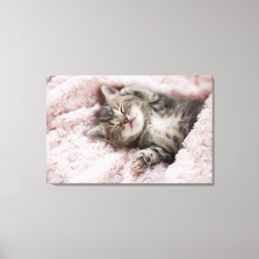 タオルで眠る子猫 キャンバスプリント (正面)