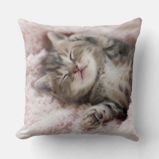 タオルで眠る子猫 クッション (正面)