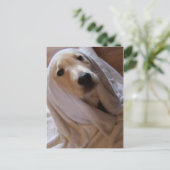 タオル葉書のデータ ポストカード (スタンド正面)