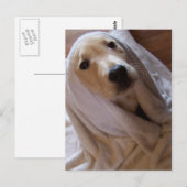 タオル葉書のデータ ポストカード (正面/裏面)