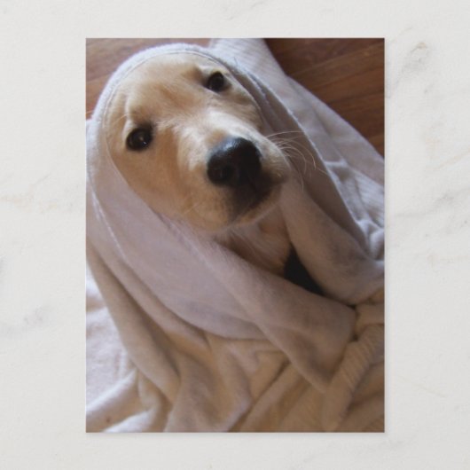 タオル葉書のデータ ポストカード (正面)