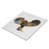 タカのフラッピングによっては水彩画の絵画が飛びます タイル (側面)