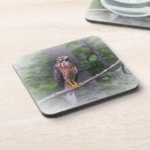 タカの精神 コースター (左側)