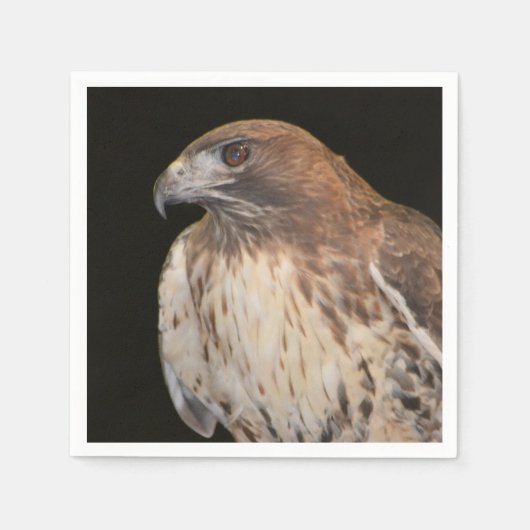 タカの精神 スタンダードカクテルナプキン (正面)