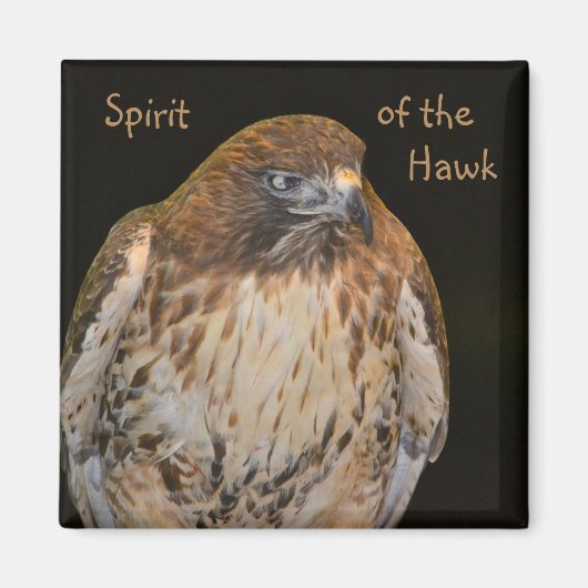 タカの精神 マグネット (正面)