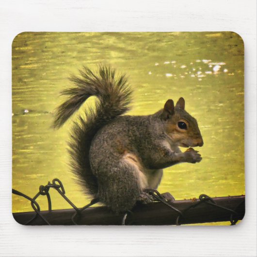 タカネタカミミリス (Sciurus carolinensis)  マウスパッド (正面)