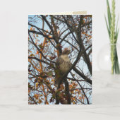 タカ日 カード (正面)