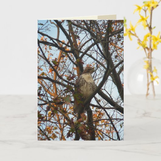 タカ日 カード (黄色い花)