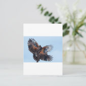 タカ派、空の支配をめぐる戦い ポストカード (スタンド正面)