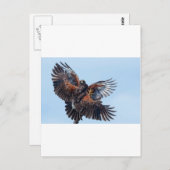 タカ派、空の支配をめぐる戦い ポストカード (正面/裏面)