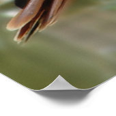 タカ ポスター (角)