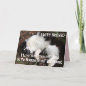 タキおもしろいシード猫誕生日、足の指が好き カード (正面)