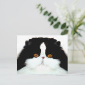 タキシドペルシア猫顔 ポストカード (スタンド正面)