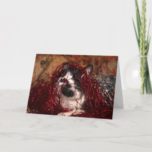 タキシードいけな子猫クリスマス シーズンカード (正面)