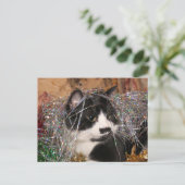 タキシードいけな子猫クリスマス シーズンポストカード (スタンド正面)