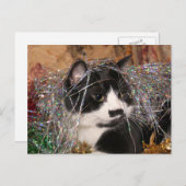 タキシードいけな子猫クリスマス シーズンポストカード (正面/裏面)