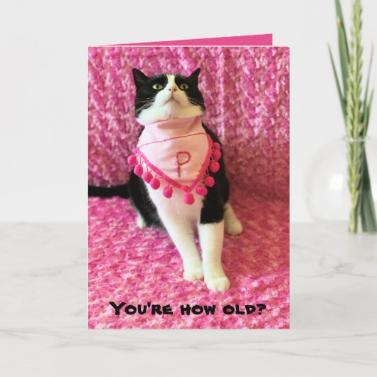 タキシードおもしろい猫の誕生日カードを桃で洗う シーズンカード (正面)