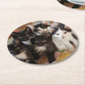 タキシードの子ネコ ラウンドペーパーコースター (アングル)