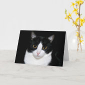 タキシードの子猫 カード (黄色い花)