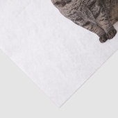 タキシードの猫 薄葉紙 (詳細)