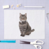 タキシードの猫 薄葉紙 (クラフト)