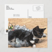 タキシードを着た子猫のクリスマス電飾ポストカード ポストカード (正面/裏面)