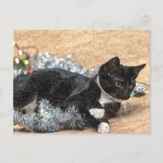 タキシードを着た子猫のクリスマス電飾ポストカード ポストカード (正面)