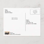 タキシードキッテンティンセルとライツポストカード ポストカード (裏面)