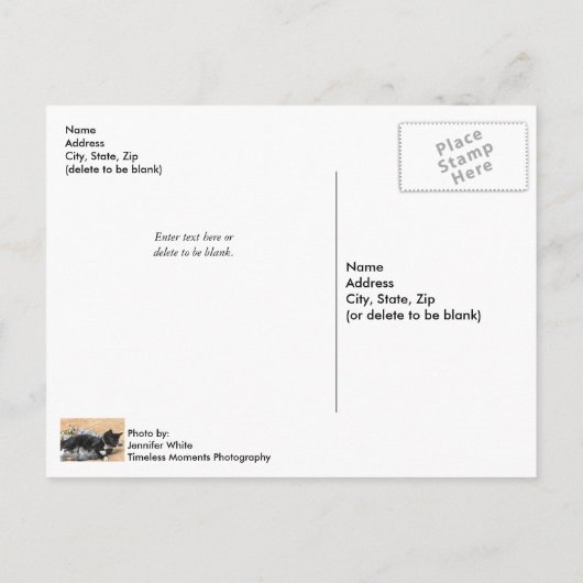 タキシードキッテンティンセルとライツポストカード ポストカード (裏面)