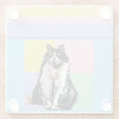 タキシードキャットパステルカラーズピンクガールズ名 ガラスコースター (裏面)